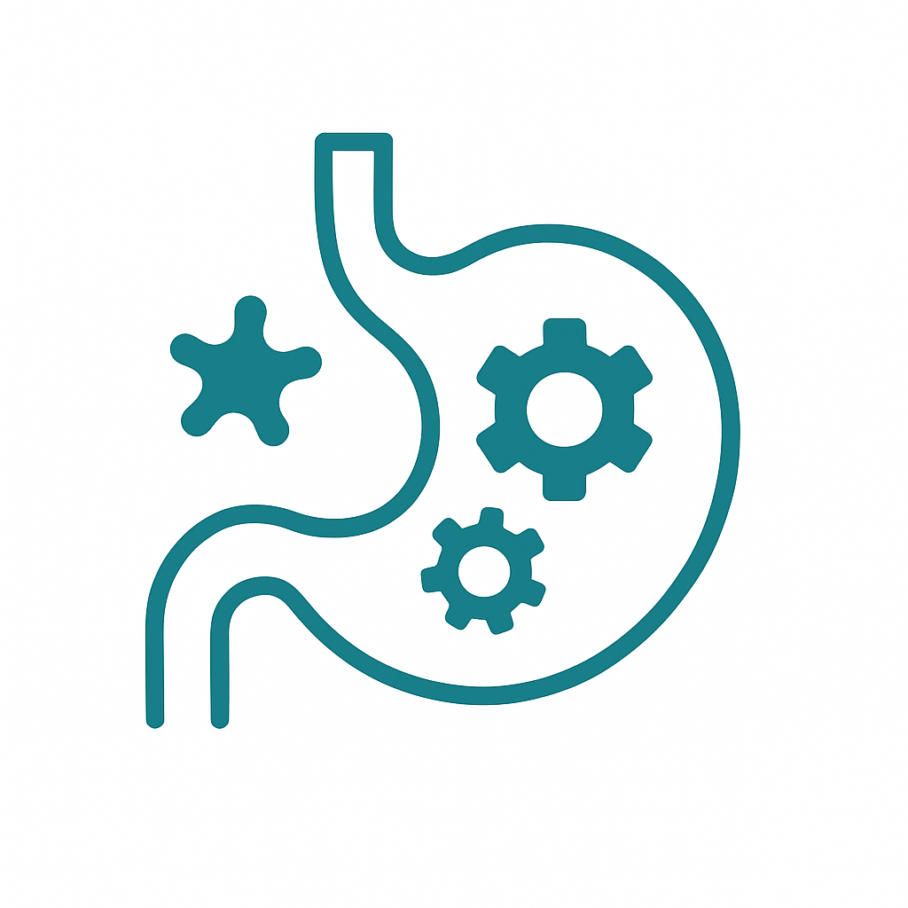 Digestive enzyme gears inside stomach icon